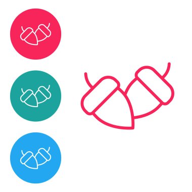 Kırmızı çizgili meşe palamudu beyaz arkaplanda izole edilmiş. Simgeleri daire düğmelerine ayır. Vektör