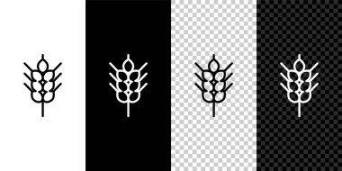 Pirinç, buğday, mısır, yulaf, çavdar, siyah beyaz, şeffaf arka planda izole edilmiş arpa ikonu serpiştirilmiş mısır gevrekleri. Buğday ekmeği sembolleri. Vektör