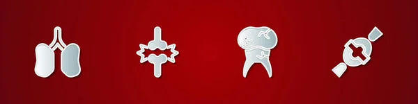 Zestaw Płuca Ból Stawów Ból Kolana Ząb Próchnicą Ikona Candy — Wektor stockowy