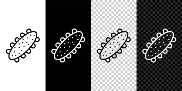 Définir la ligne icône du concombre de mer isolé sur fond noir et blanc. De la nourriture marine. Vecteur. — Image vectorielle