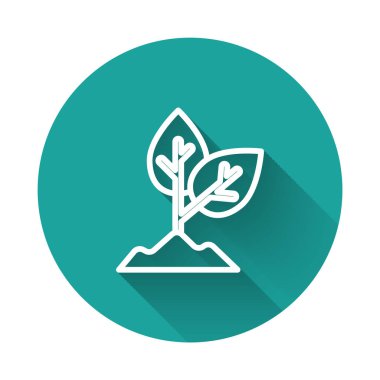 Beyaz çizgi bitki simgesi uzun gölgeli izole edilmiş. Tohum ve tohum. İşaret bırakıyor. Yaprak doğası. Yeşil daire düğmesi. Vektör