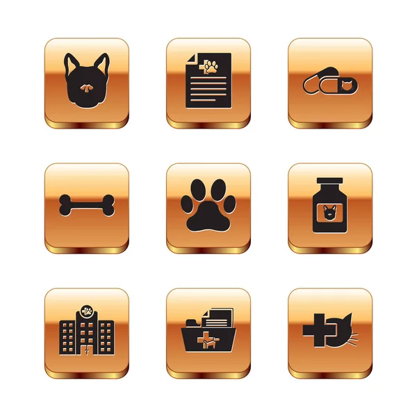 Set Dog Veterinary Medicine Hospital Medical Veterinary Record Folder Paw — Stock Vector