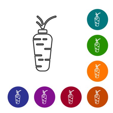 Siyah çizgi havuç simgesi beyaz arkaplanda izole edilmiş. Simgeleri renk daire düğmelerine ayarla. Vektör