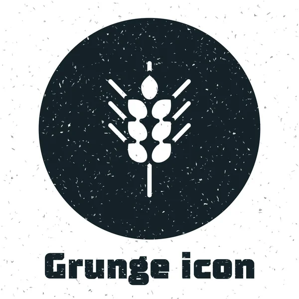 Grunge Cereals Set mit Reis, Weizen, Mais, Hafer, Roggen, Gerste Ikone isoliert auf weißem Hintergrund. Ähren von Weizenbrot Symbole. Monochrome Vintage-Zeichnung. Vektor — Stockvektor