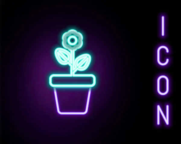 Glowing neon line Flower in pot icon isolated on black background. Plant growing in a pot. Potted plant sign. Colorful outline concept. Vector — Stock Vector
