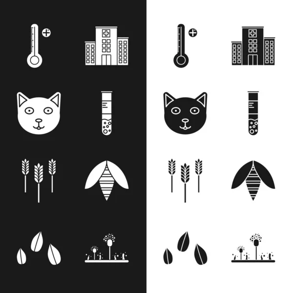 Set Test tube and flask, Pet, Medical digital thermometer, hospital building, Wheat, Bee, Mold and Sesame seeds icon. Vector — Image vectorielle