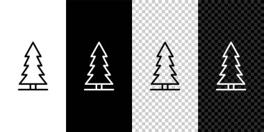 Siyah beyaz arka planda izole edilmiş Kanada ladin simgesi. Orman ladini. Vektör