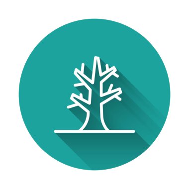 Beyaz çizgi Çıplak ağaç simgesi uzun gölge arkaplanı ile izole edilmiş. Yeşil daire düğmesi. Vektör