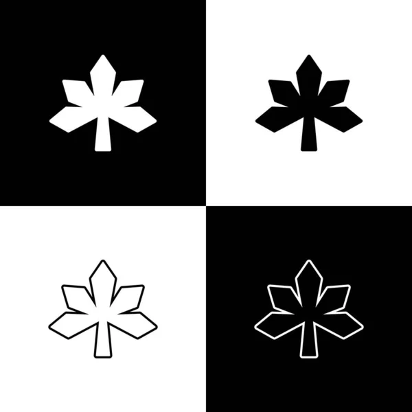 Setzen Sie Kastanienblatt Symbol Isoliert Auf Schwarzem Und Weißem Hintergrund — Stockvektor