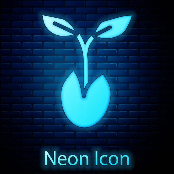 Zářící Neonová Kapusta Ikona Izolované Pozadí Cihlové Zdi Semena Sazenice — Stockový vektor