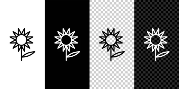 Setzen Sie Linie Sonnenblumen Symbol Isoliert Auf Schwarzem Und Weißem — Stockvektor