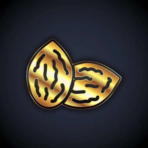 Graines d'or d'une icône végétale spécifique isolée sur fond noir. Vecteur — Image vectorielle