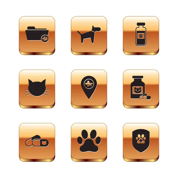 Set Medical Veterinary Record Folder Cat Pills Paw Print Location — Stock Vector