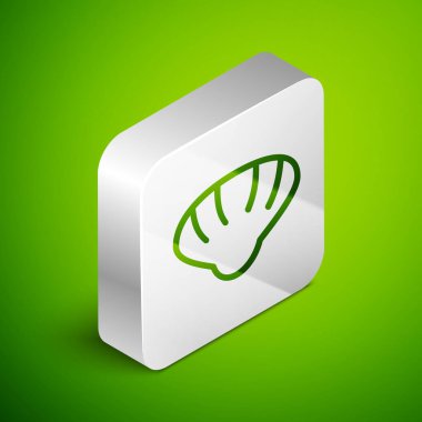 Isometric hattı deniz kabuğu simgesi yeşil arkaplanda izole edildi. Deniz kabuğu işareti. Gümüş kare düğme. Vektör.