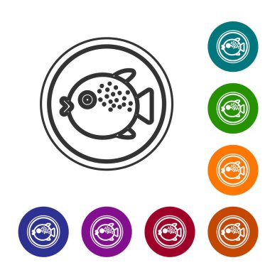 Beyaz arka planda izole edilmiş bir tabak ikonunda siyah çizgi kirpi balığı. Fugu balığı Japon kirpi balığı. Simgeleri renk daire düğmelerine ayarla. Vektör.