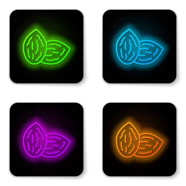 Beyaz arkaplanda izole edilmiş özel bir bitki simgesinin parlayan neon çizgisi tohumları. Siyah kare düğme. Vektör