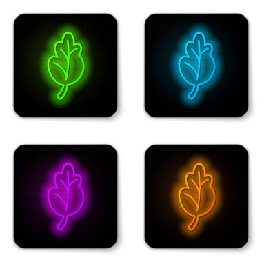 Parlak neon hattı Kore kimchi 'si, beyaz arka planda izole edilmiş lahana ikonu. Siyah kare düğme. Vektör