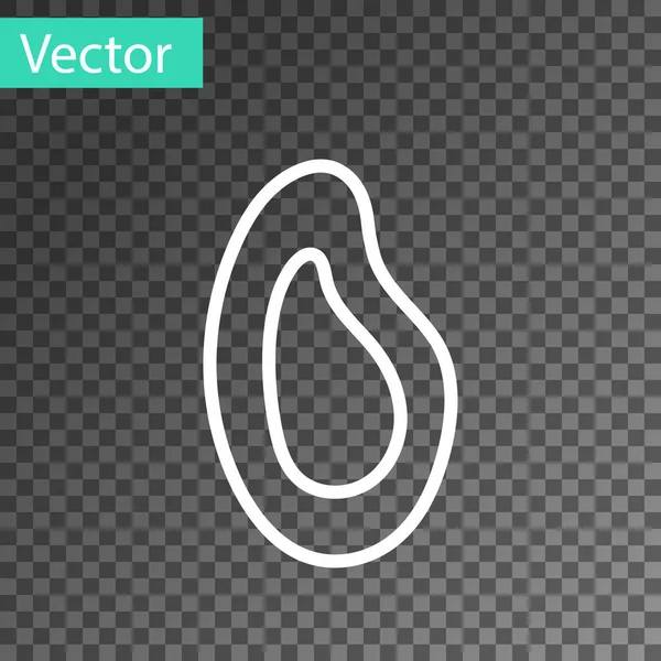 Weiße Linie Muschelsymbol isoliert auf transparentem Hintergrund. Frische köstliche Meeresfrüchte. Vektor. — Stockvektor