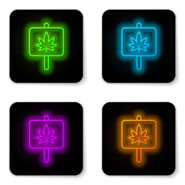 Parlak neon hattı beyaz arka planda izole edilmiş tıbbi marihuana veya kenevir yaprağı ikonu. Kenevir sembolü. Siyah kare düğme. Vektör