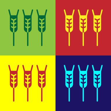 Pirinç, buğday, mısır, yulaf, çavdar ve arpa ikonuyla renklendirilmiş mısır gevrekleri. Buğday ekmeği sembolleri. Vektör.