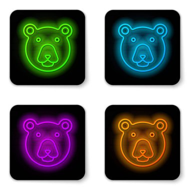 Parlayan neon hattı. Ayı başı simgesi beyaz arkaplanda izole edildi. Siyah kare düğme. Vektör.