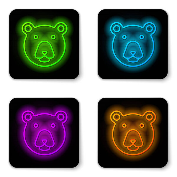 Glowing neon line Bear head icon isolated on white background. Black square button. Vector.