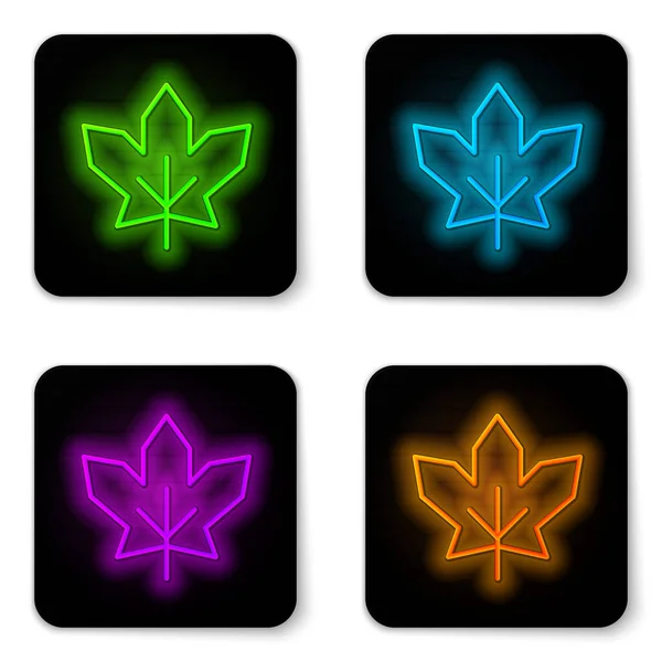 Glowing Neon Line Canadian Maple Leaf Icon Isolated White Background — Archivo Imágenes Vectoriales