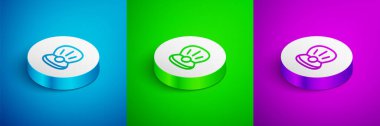 Isometric line Natural open shell with pearl icon isolated on blue, green and purple background. Scallop sea shell. Seashell sign. White circle button. Vector.
