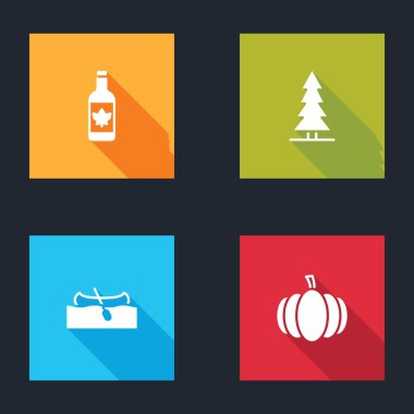 Set Beer bottle, Canadian spruce, Kayak or canoe and Pumpkin icon. Vector.