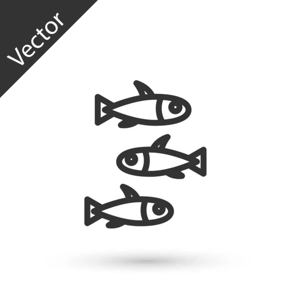 Ligne Grise Icône Poissons Isolé Sur Fond Blanc Vecteur — Image vectorielle