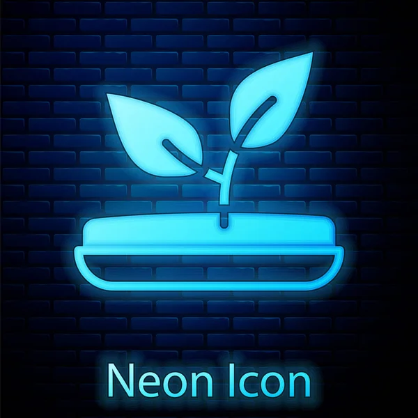 Gloeiende Neon Sprout Icoon Geïsoleerd Bakstenen Muur Achtergrond Zaad Zaailing — Stockvector