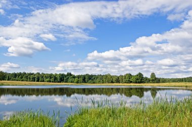 woods ve alanlar arasında küçük bir göl