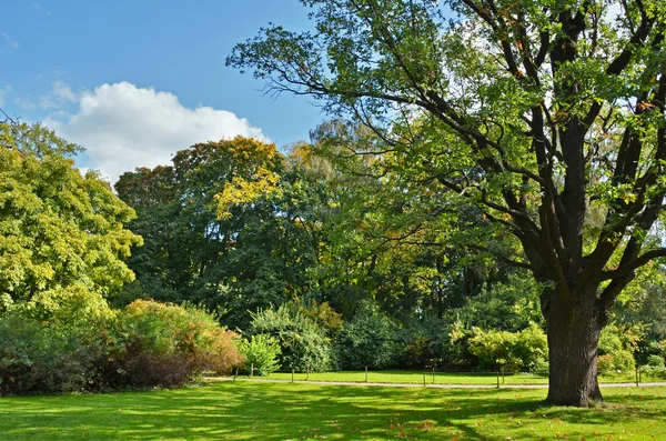 Trávník v botanické zahradě — Stock fotografie