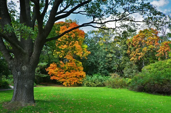 Lawn in a botanical garden — Stock Photo, Image