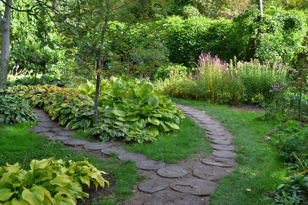 Gazon in een botanische tuin — Stockfoto