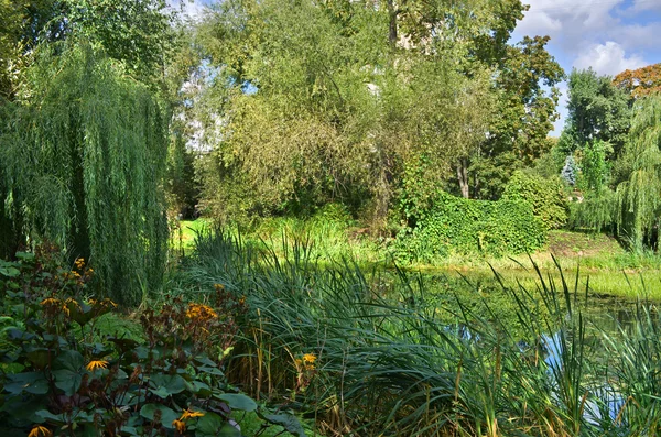 Stagno in un giardino botanico — Foto Stock