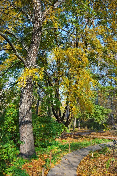 Sökvägen i en botanisk trädgård — Stockfoto