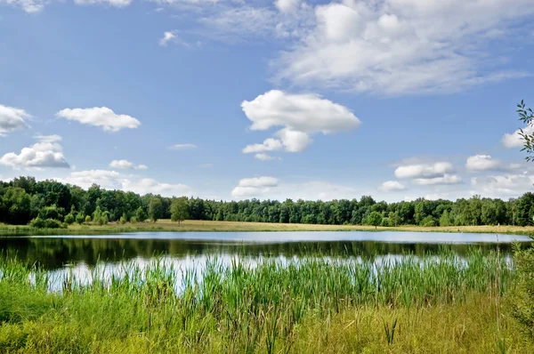 woods ve alanlar arasında küçük bir göl