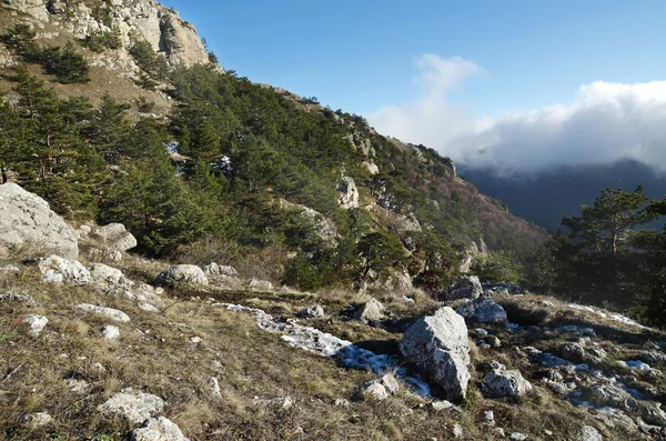 Colline in Crimea (Ucraina) Demerdzhi settentrionale nel mese di gennaio — Foto Stock