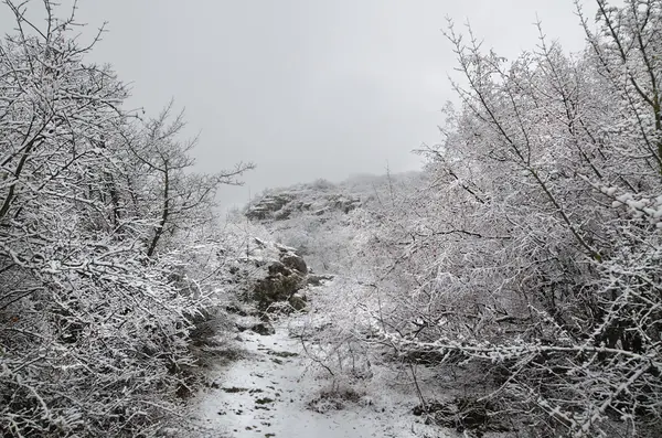 Colinas da Crimeia (Ucrânia) no inverno — Fotografia de Stock