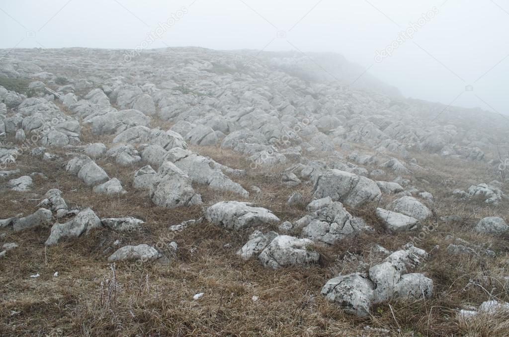 Fog in mountains