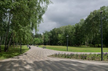 Güneş ışığı noktalar parkta sokakta