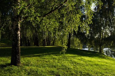 Çim lekeleri, güneş parkında
