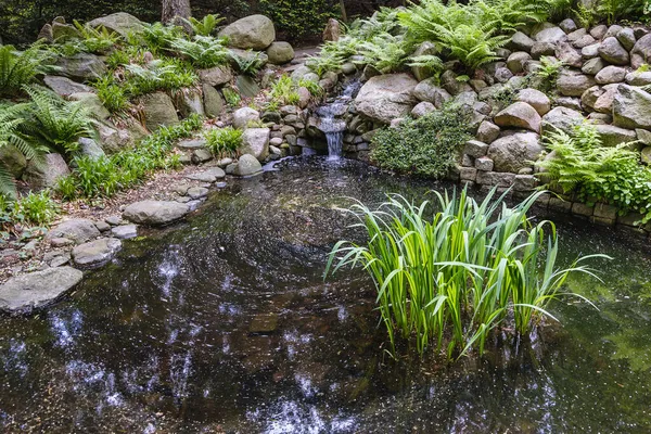 Dammen Botaniska Trädgården Vid Universitetet Warszawa Polen — Stockfoto