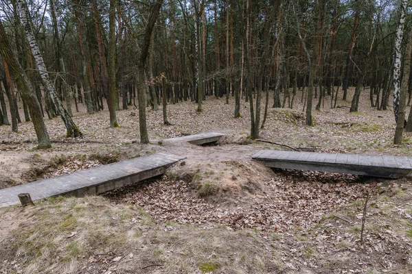 Polonya Varşova Nın Bialoleka Sınır Bölgesindeki Orman Kompleksinde Yollar — Stok fotoğraf