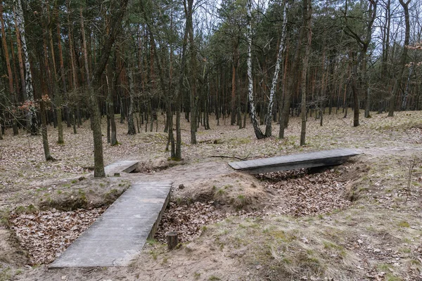 ポーランド ワルシャワのBialoleka国境地区の森林複合体 — ストック写真