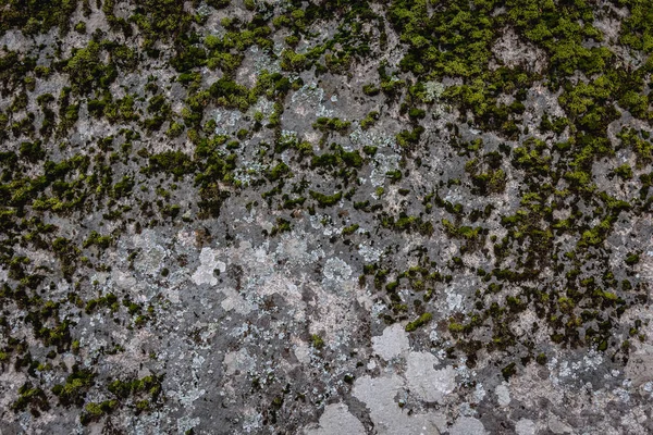 Nahaufnahme Auf Einer Felsoberfläche Beglik Tash Antike Thrakische Überreste Eines — Stockfoto