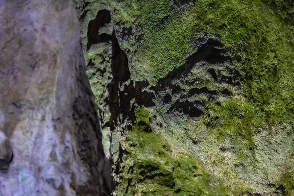 Moss Rocks Bacho Kiro Cave Bulgarka Nature Park Dryanovo Town — Stock Photo, Image