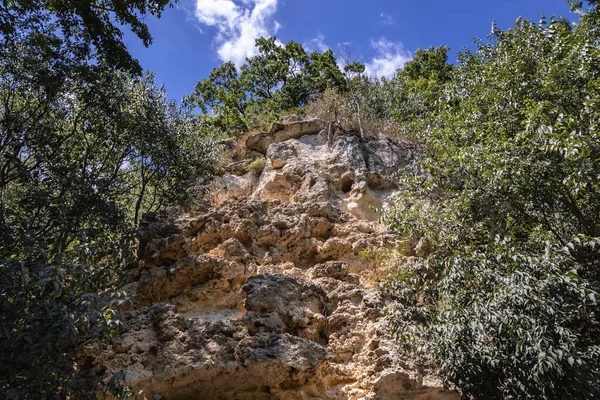 Rocky Cliff Next Aladzha Historic Orthodox Monastery Golden Sands Nature — Stock Photo, Image