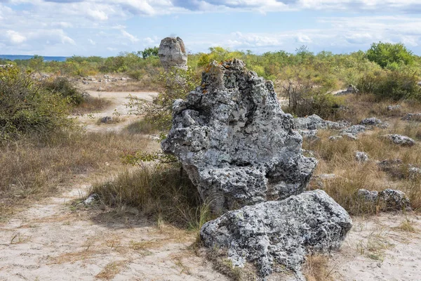 Rocas Pobiti Kamani Fenómeno Natural También Conocido Como Bosque Piedra —  Fotos de Stock